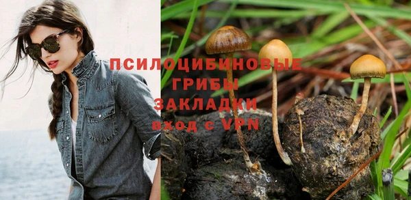 гидра Алзамай