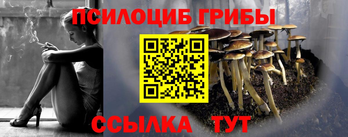 Галлюциногенные грибы Magic Shrooms  Псилоцибиновые грибы ЛСД  Ярцево  Вход с VPN 